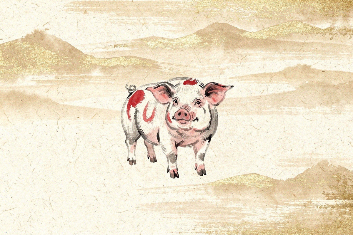Illustration pour Signe du cochon - Signe Chinois du cochon - Signes Astrologiques chinois